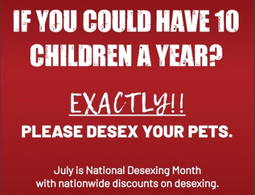 National Desexing Month 2021