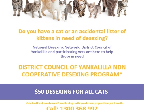 DISTRICT COUNCIL OF YANKALILLA RESIDENTS….