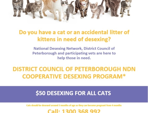 ATTENTION PETERBOROUGH COUNCIL SA RESIDENTS