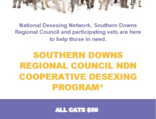 SOUTHERN DOWNS REGIONAL COUNCIL CAT DESEXING PROGRAM