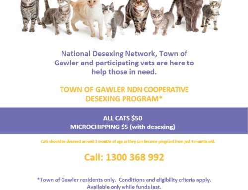 TOWN OF GAWLER CAT DESEXING PROGRAM