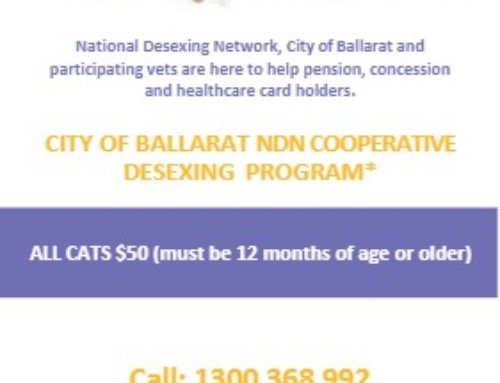 City of Ballarat Cat Desexing Program