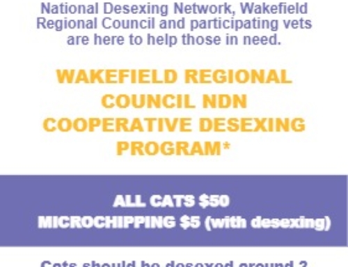 Cat Desexing Vouchers – Wakefield Regional Council, SA