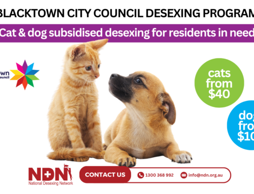 Subsidised Cat and Dog Desexing for Blacktown City Council Residents