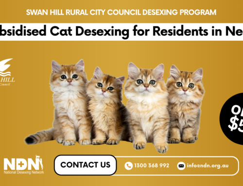 Swan Hill Rural City Subsidised Cat Desexing (VIC)