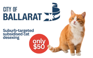 Subsidised cat desexing program for City of Ballarat residents – National Desexing Network