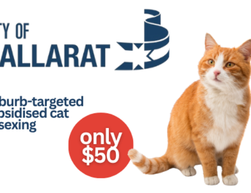 City of Ballarat Suburb-targeted Cat Desexing (VIC)