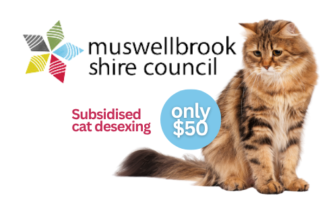 Subsidised cat desexing program for Muswellbrook Shire residents – National Desexing Network