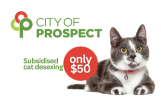 Subsidised cat desexing program for City of Prospect residents - National Desexing Network