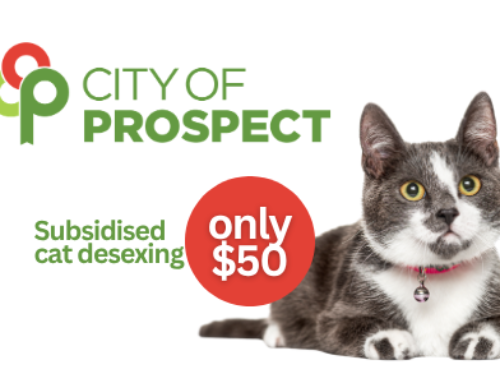 City of Prospect Subsidised Cat Desexing (SA)