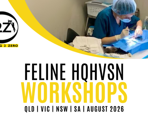 NDN Recommends Feline HQHVSN Workshops for Veterinary Teams